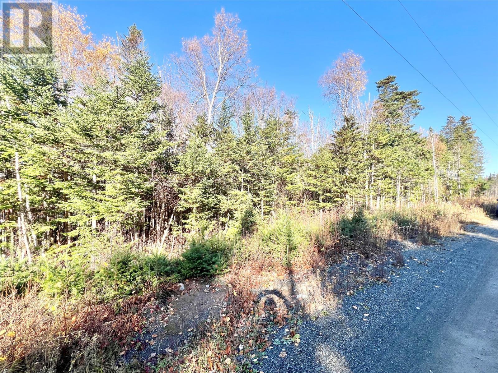 11 Little Paradise Road, Millertown, NL