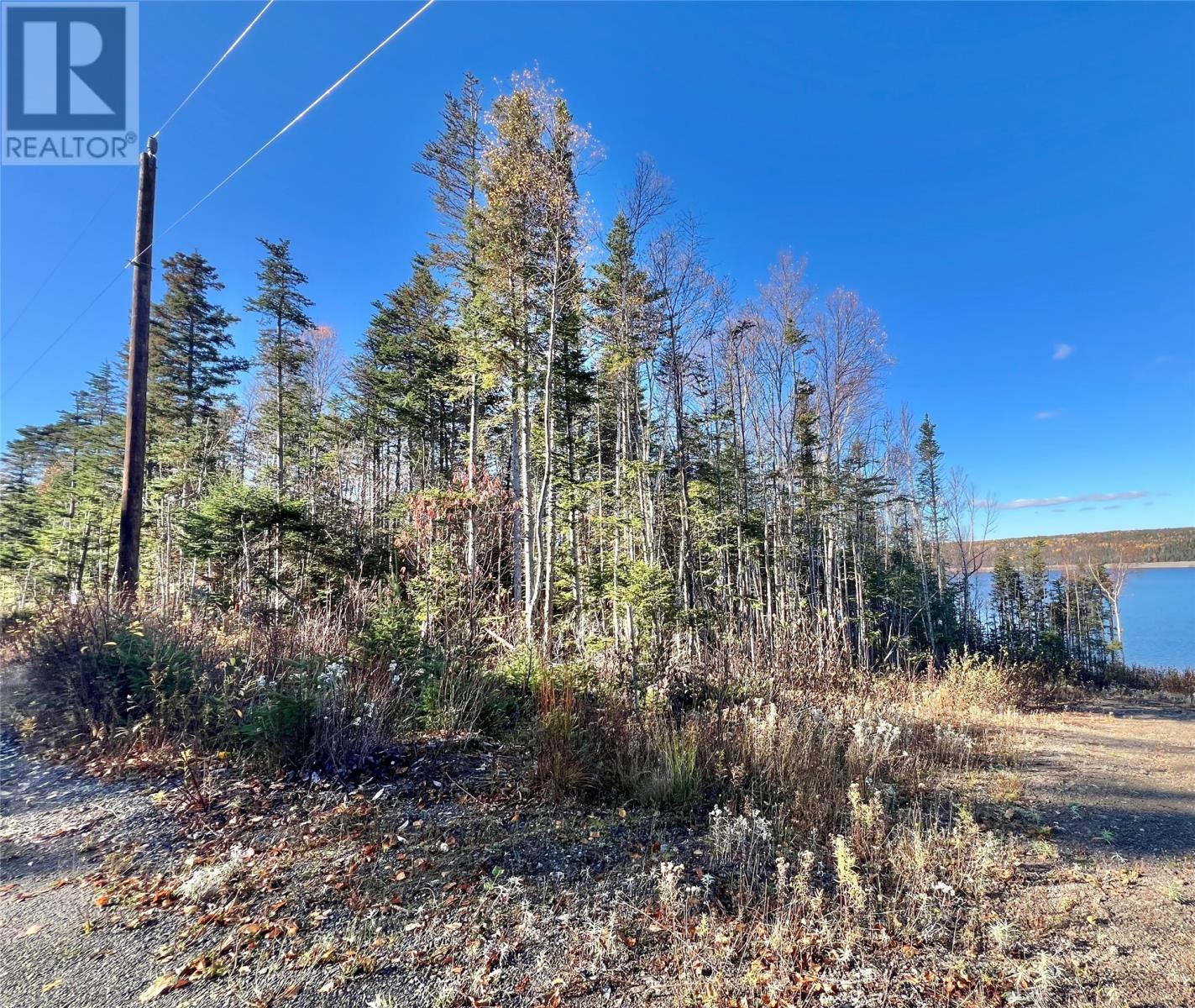 11 Little Paradise Road, Millertown, NL