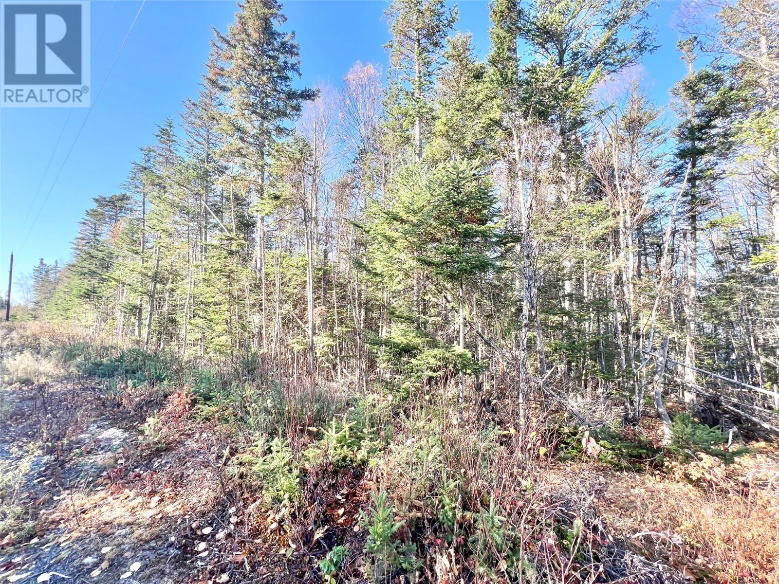 11 Little Paradise Road, Millertown, NL