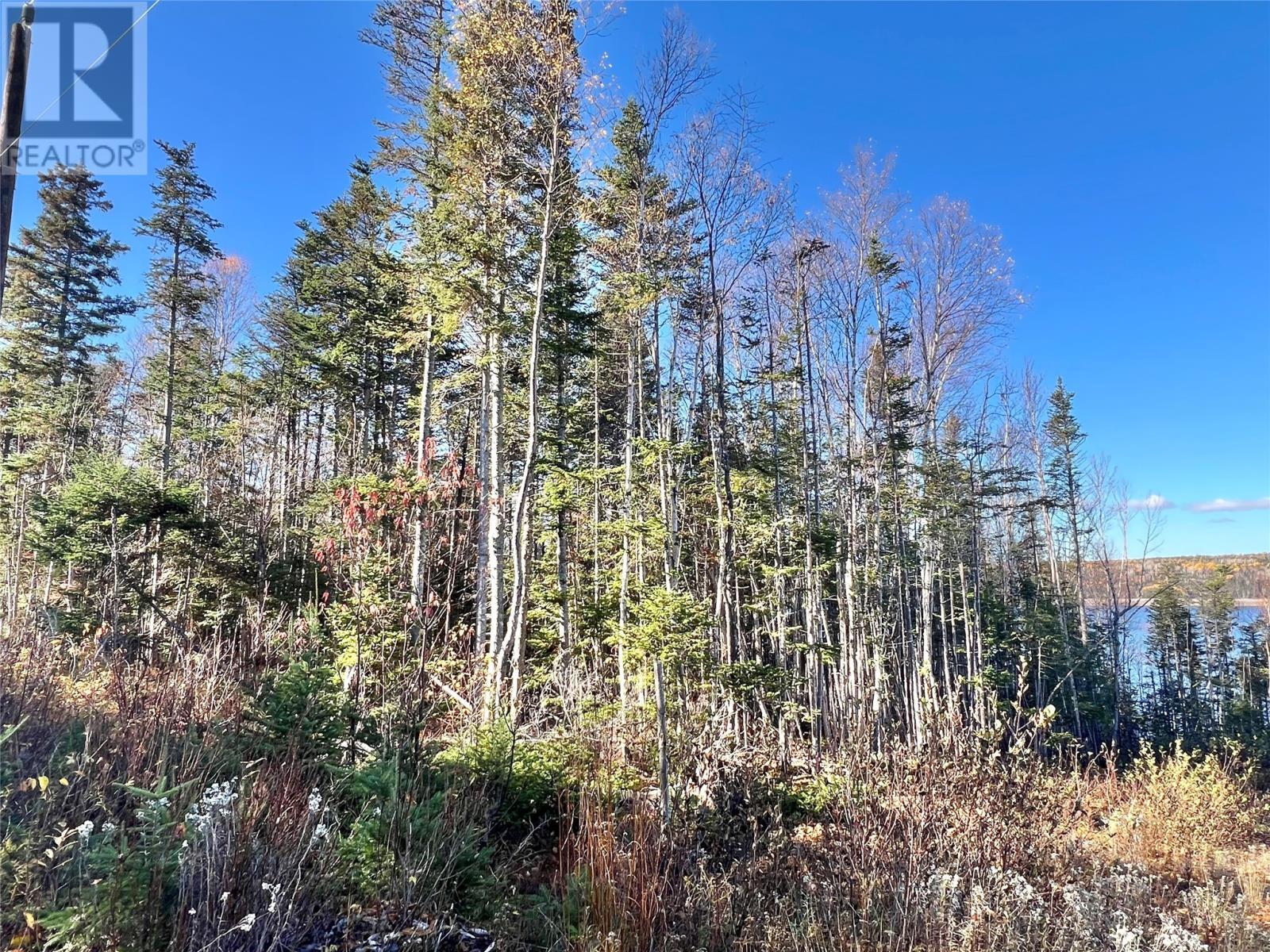 11 Little Paradise Road, Millertown, NL