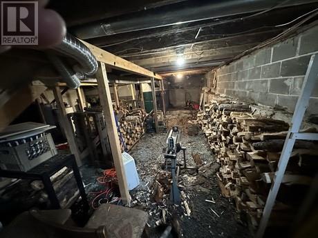 8 Erics Place, Bay Roberts, NL - Indoor Photo Showing Basement