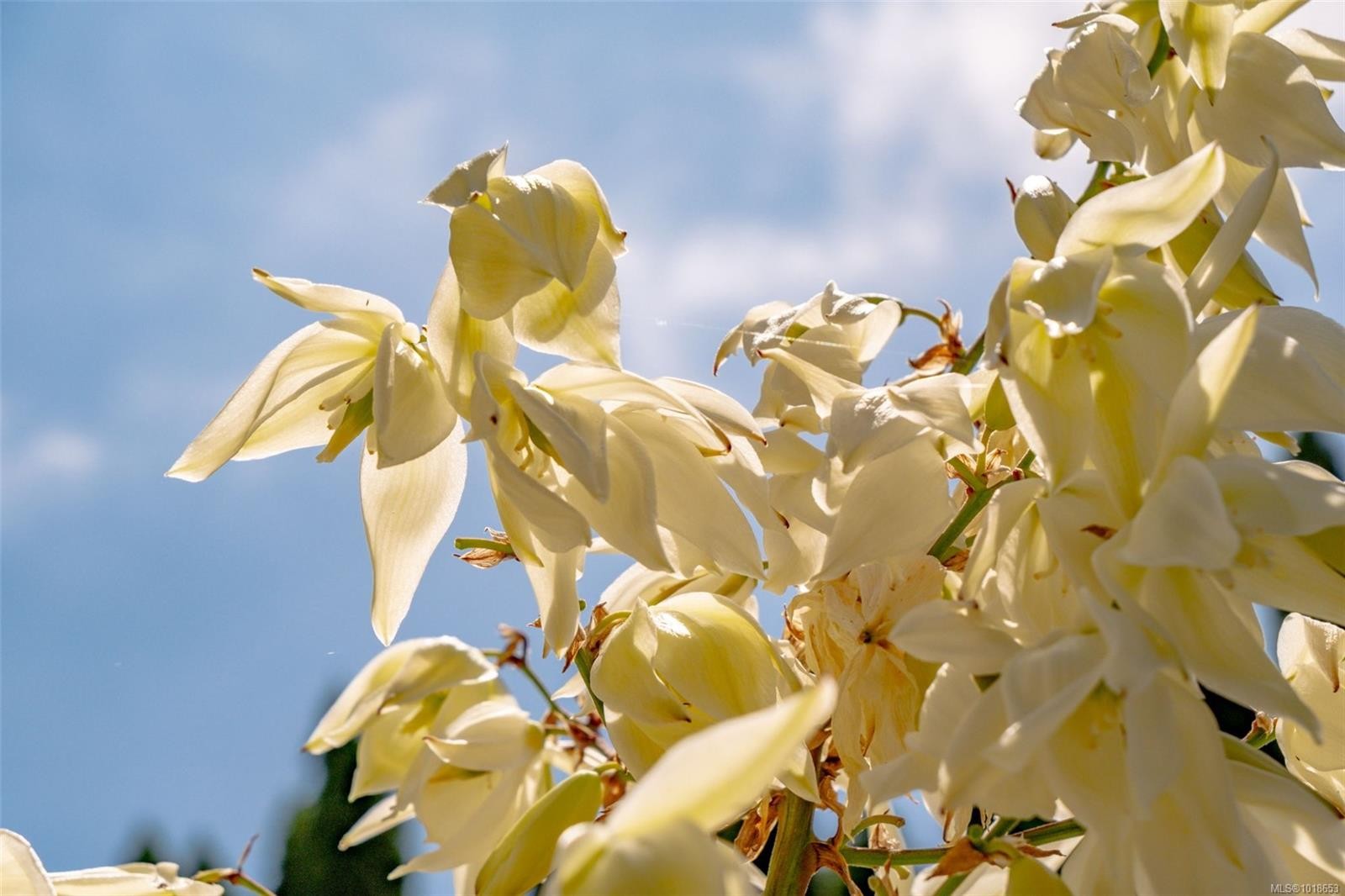 2897 Fuller Lake Rd, Chemainus, BC