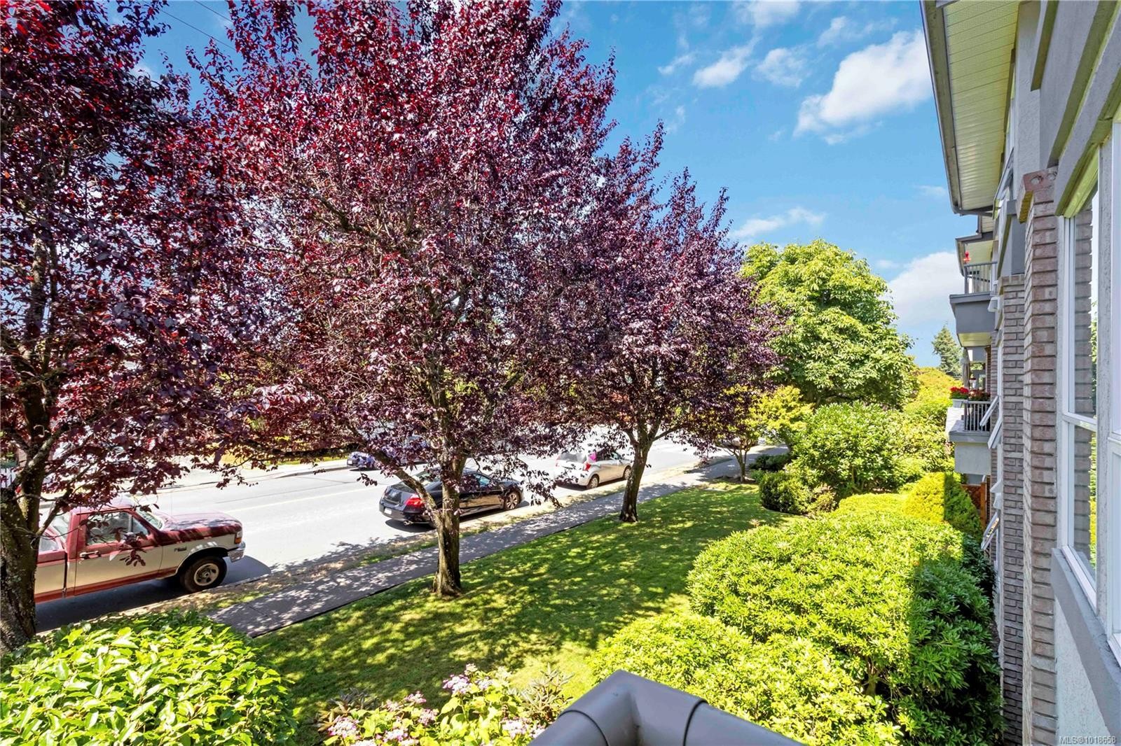 203-9945 Fifth St, Sidney, BC - Outdoor