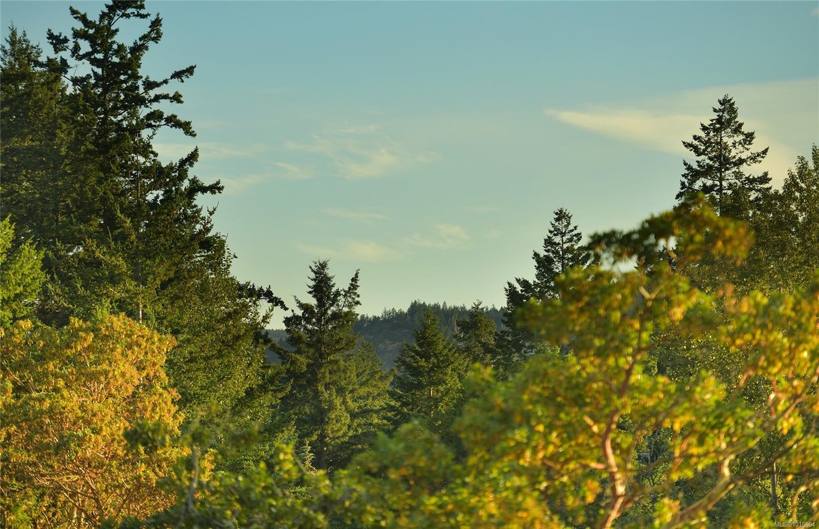 994 Citation Rd, Langford, BC