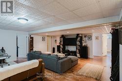 Lower Level - Living Room -