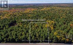 590 COUNTY RD 40 Douro-Dummer, ON K0L 2V0