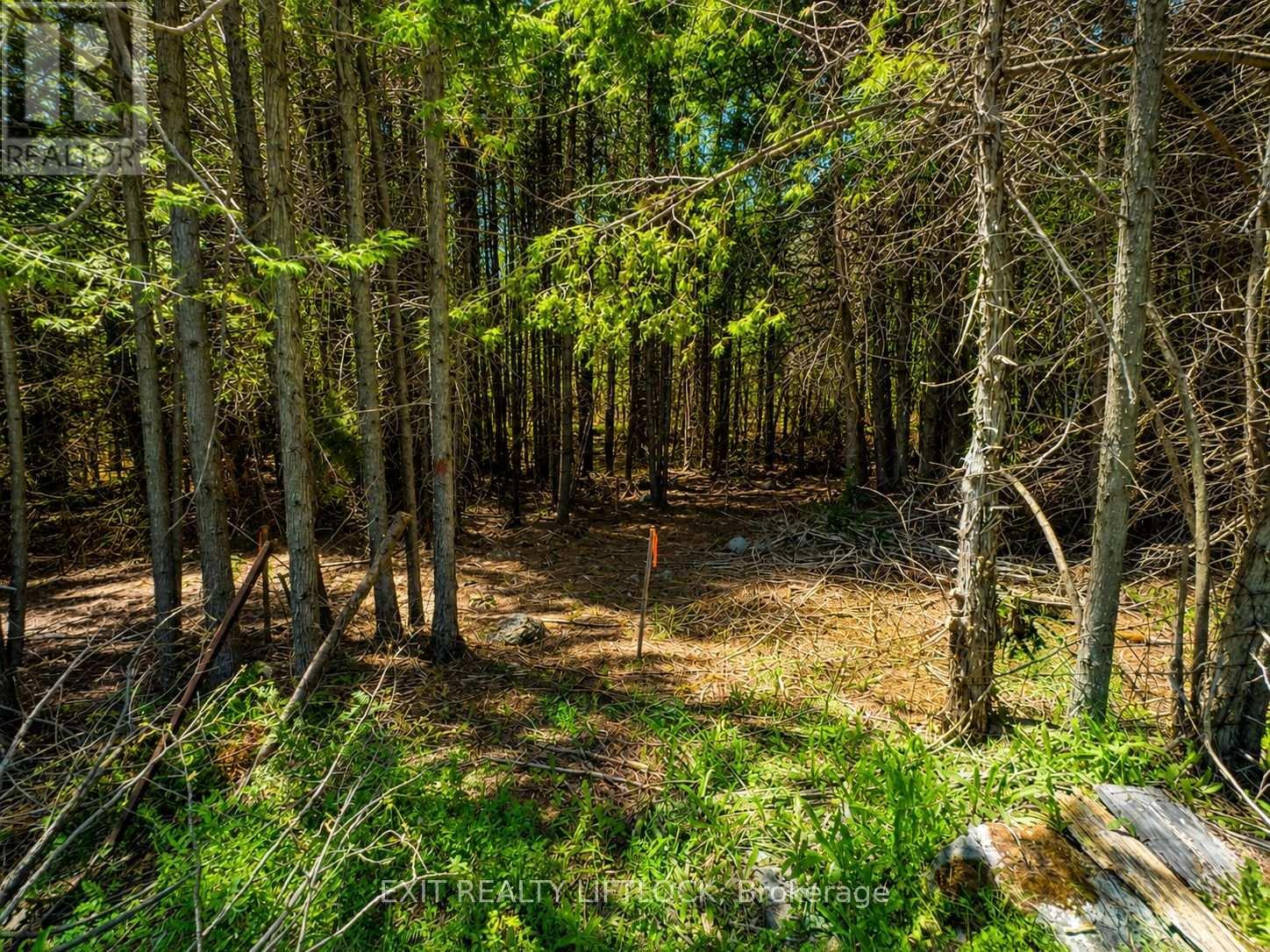 590 County Rd 40, Douro-Dummer, ON
