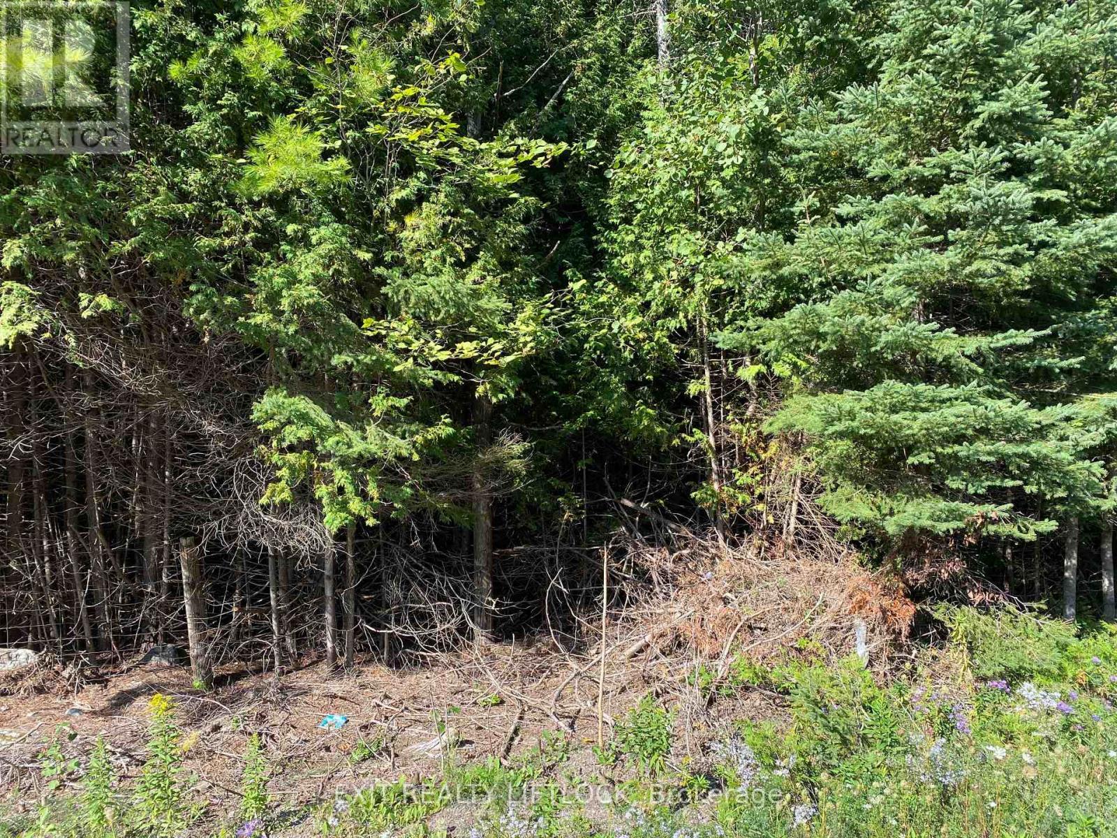 590 County Rd 40, Douro-Dummer, ON