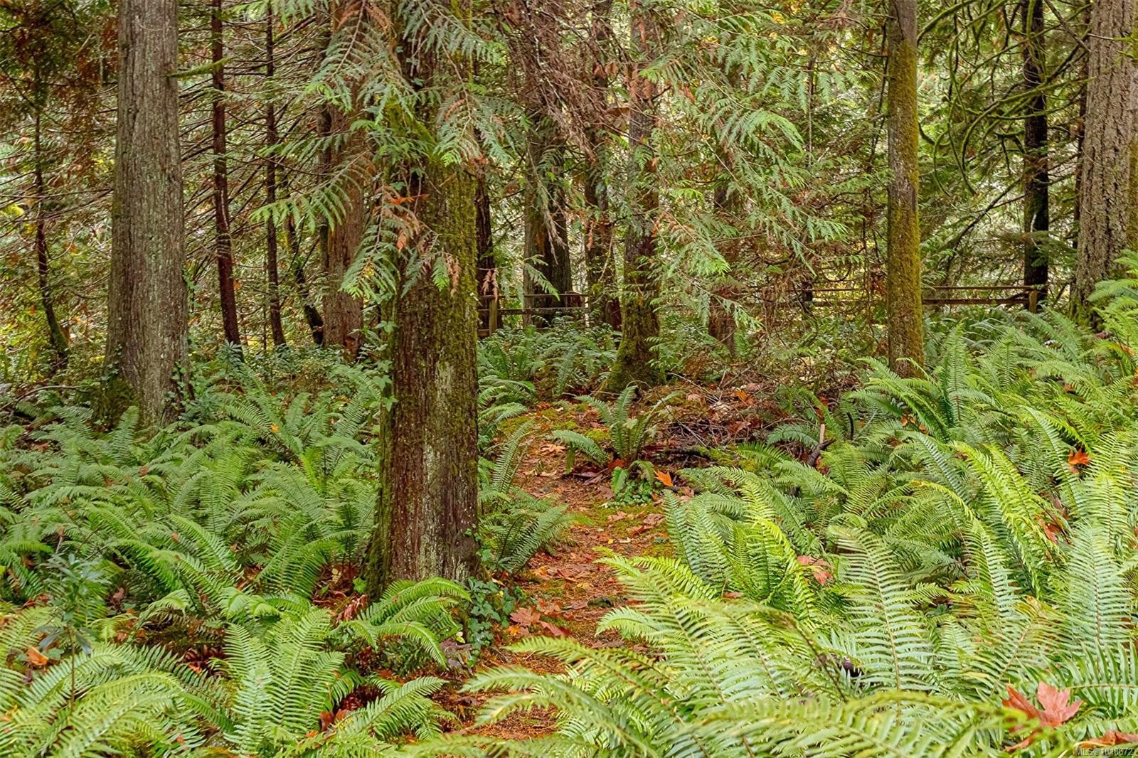 350 Dogwood Dr, Ladysmith, BC