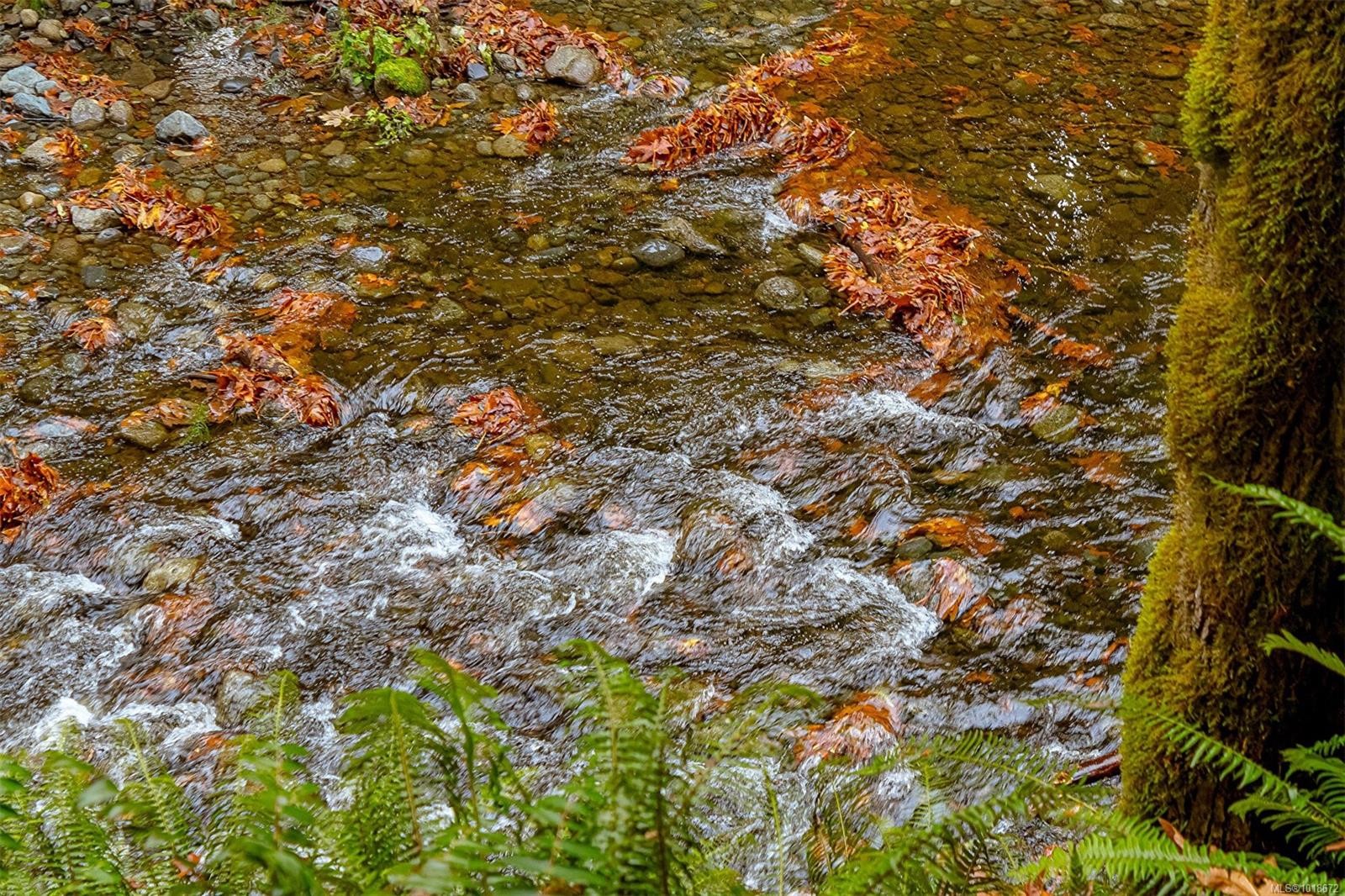 350 Dogwood Dr, Ladysmith, BC