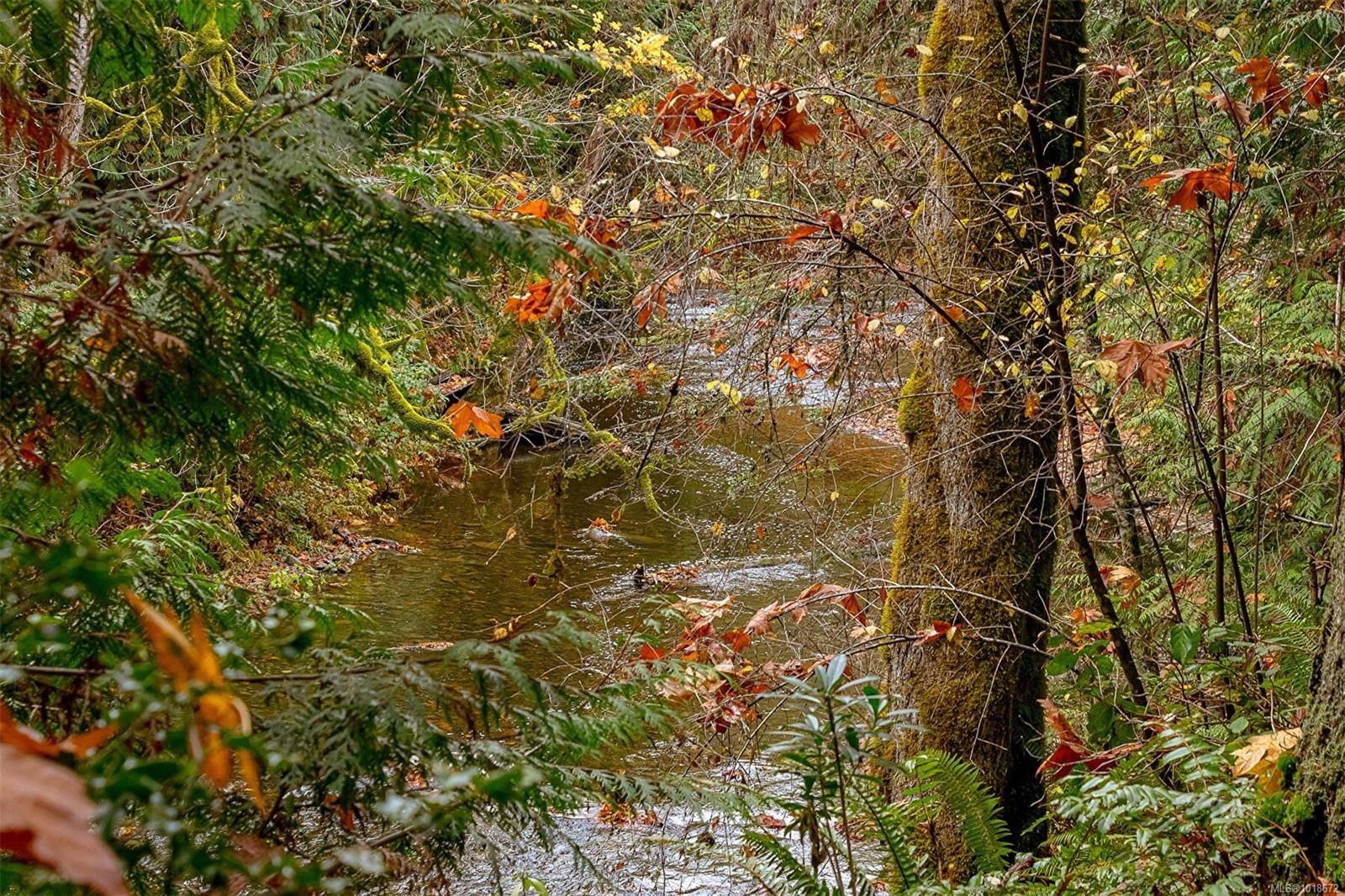 350 Dogwood Dr, Ladysmith, BC