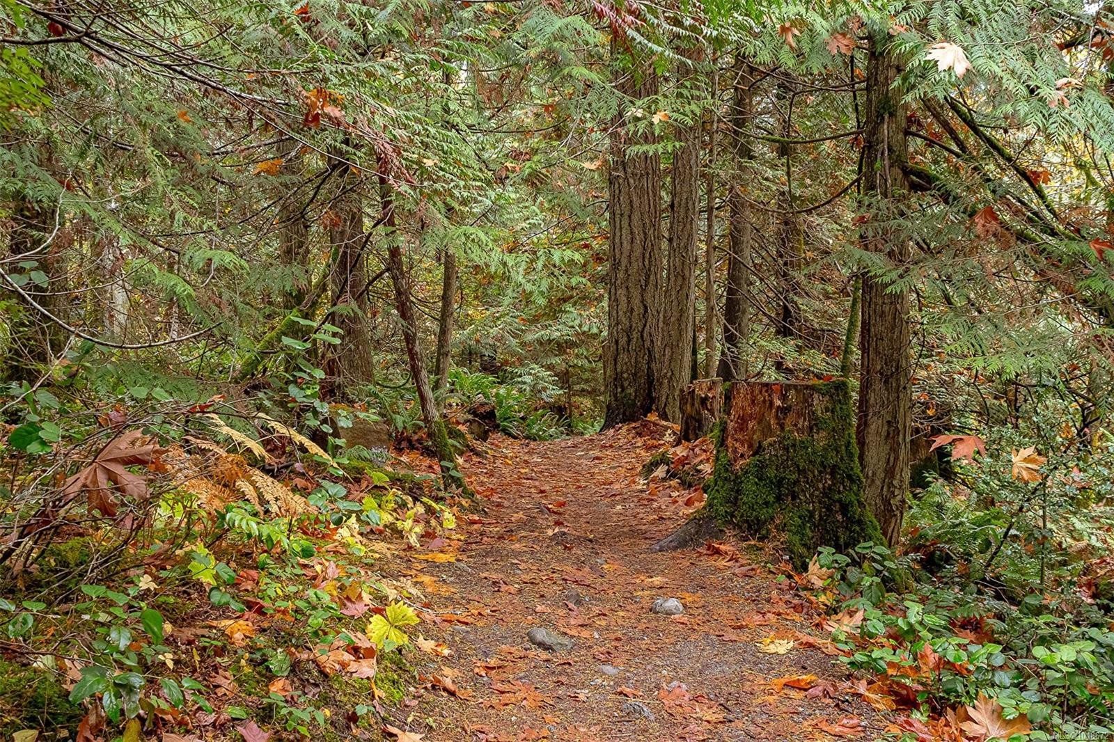 350 Dogwood Dr, Ladysmith, BC