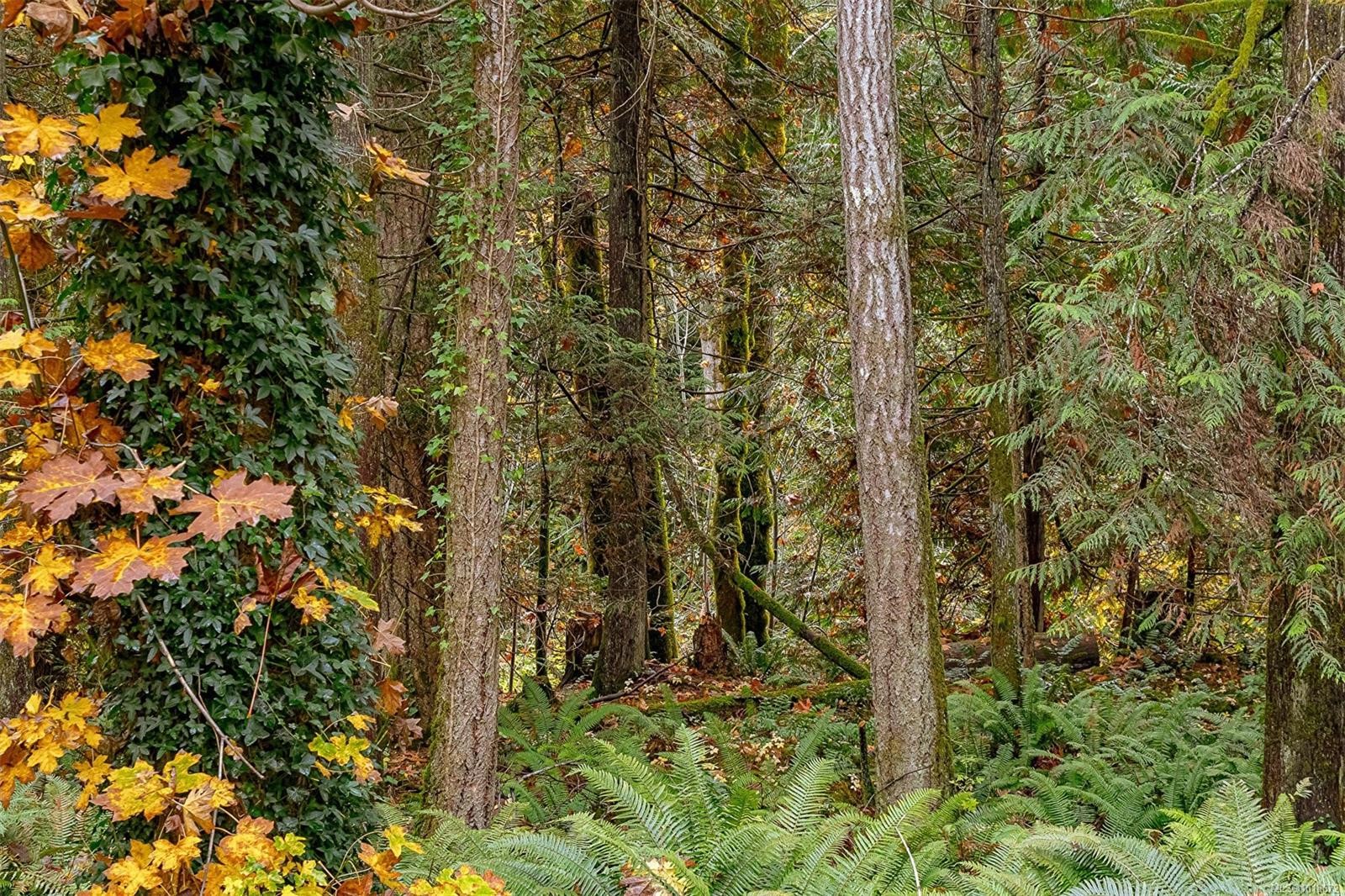 350 Dogwood Dr, Ladysmith, BC