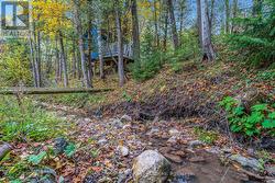 River to Treehouse -