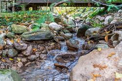 river in back yard -