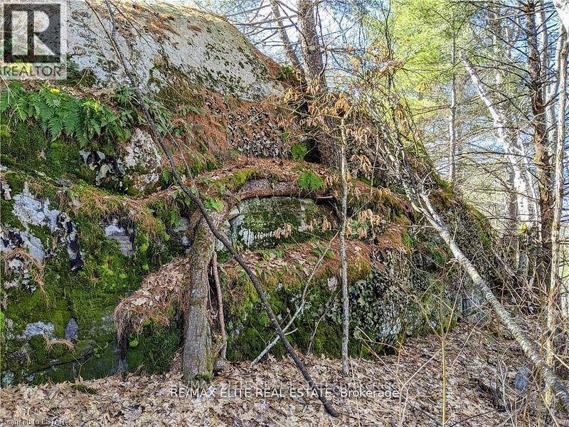 1322 Boomhauer Road, Frontenac, ON