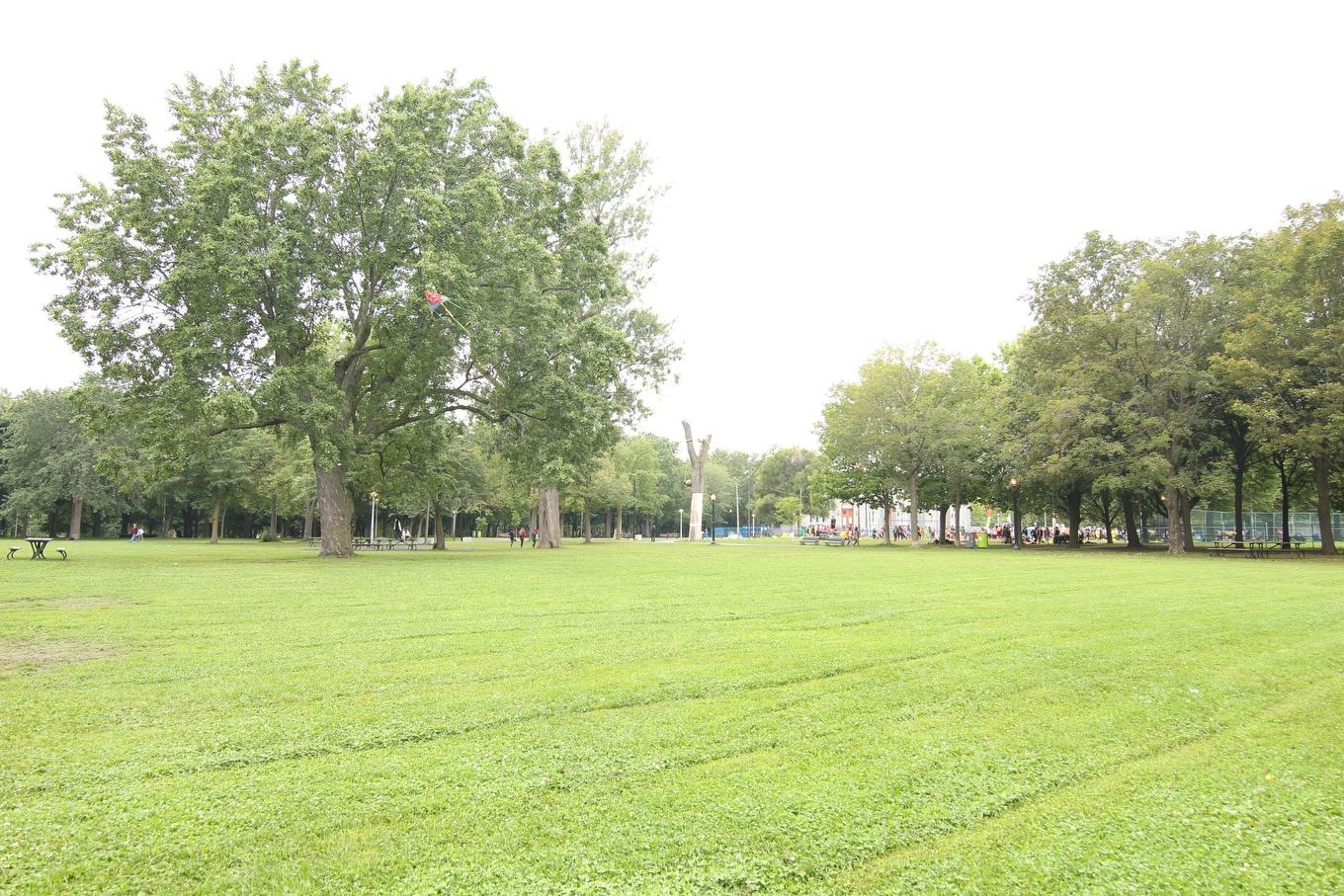 Vue - 606-3425 Av. Papineau, Montréal (Ville-Marie), QC - Outdoor