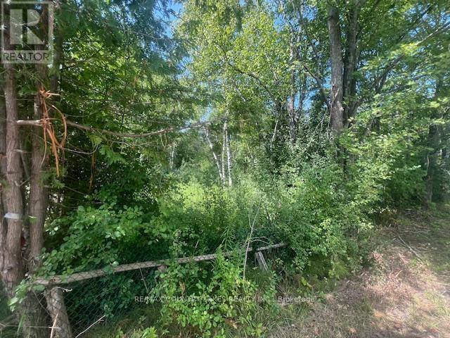 122-123 Riverview Beach Road, Georgina, ON