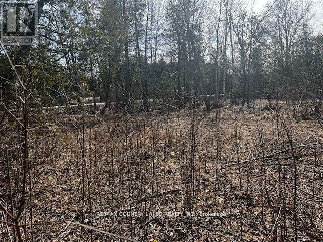 122-123 Riverview Beach Road, Georgina, ON