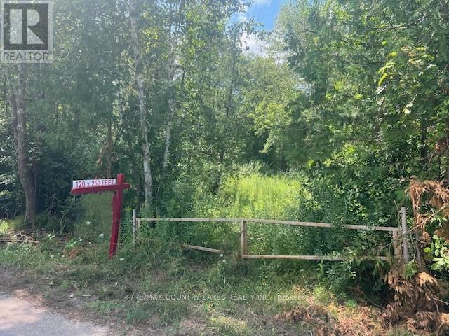 122-123 Riverview Beach Road, Georgina, ON