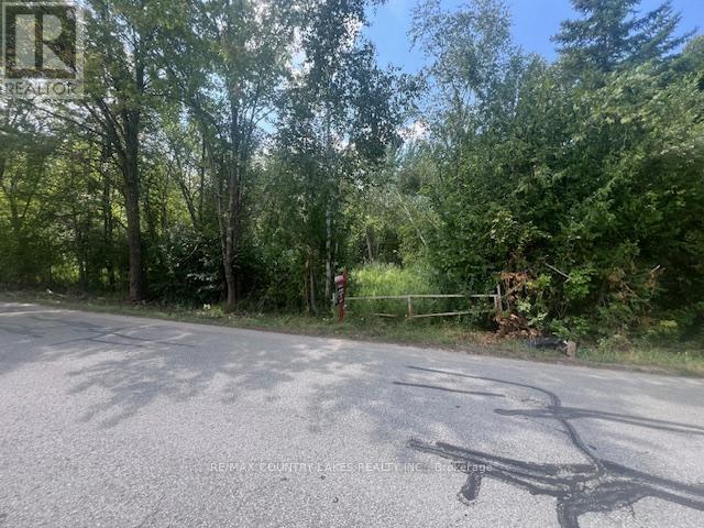 122-123 Riverview Beach Road, Georgina, ON