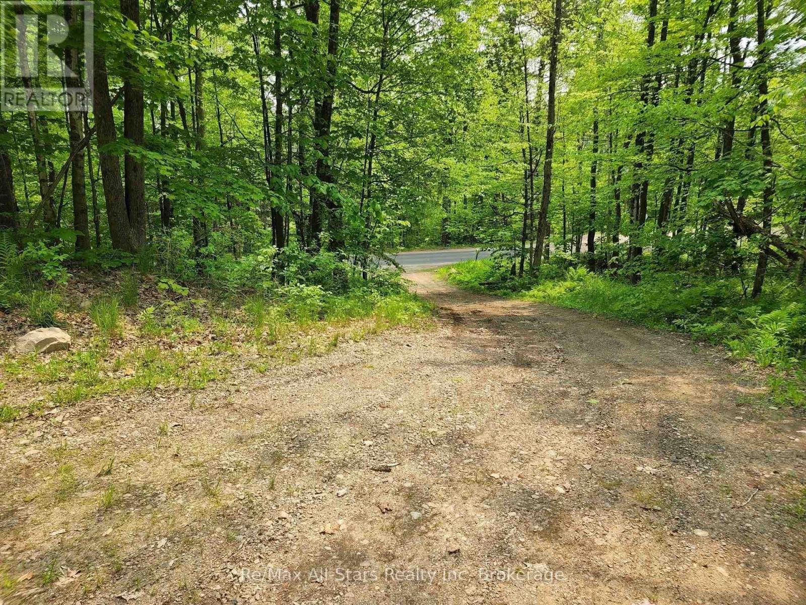 1028 Ronville Road, Lake Of Bays (Franklin), ON - Outdoor