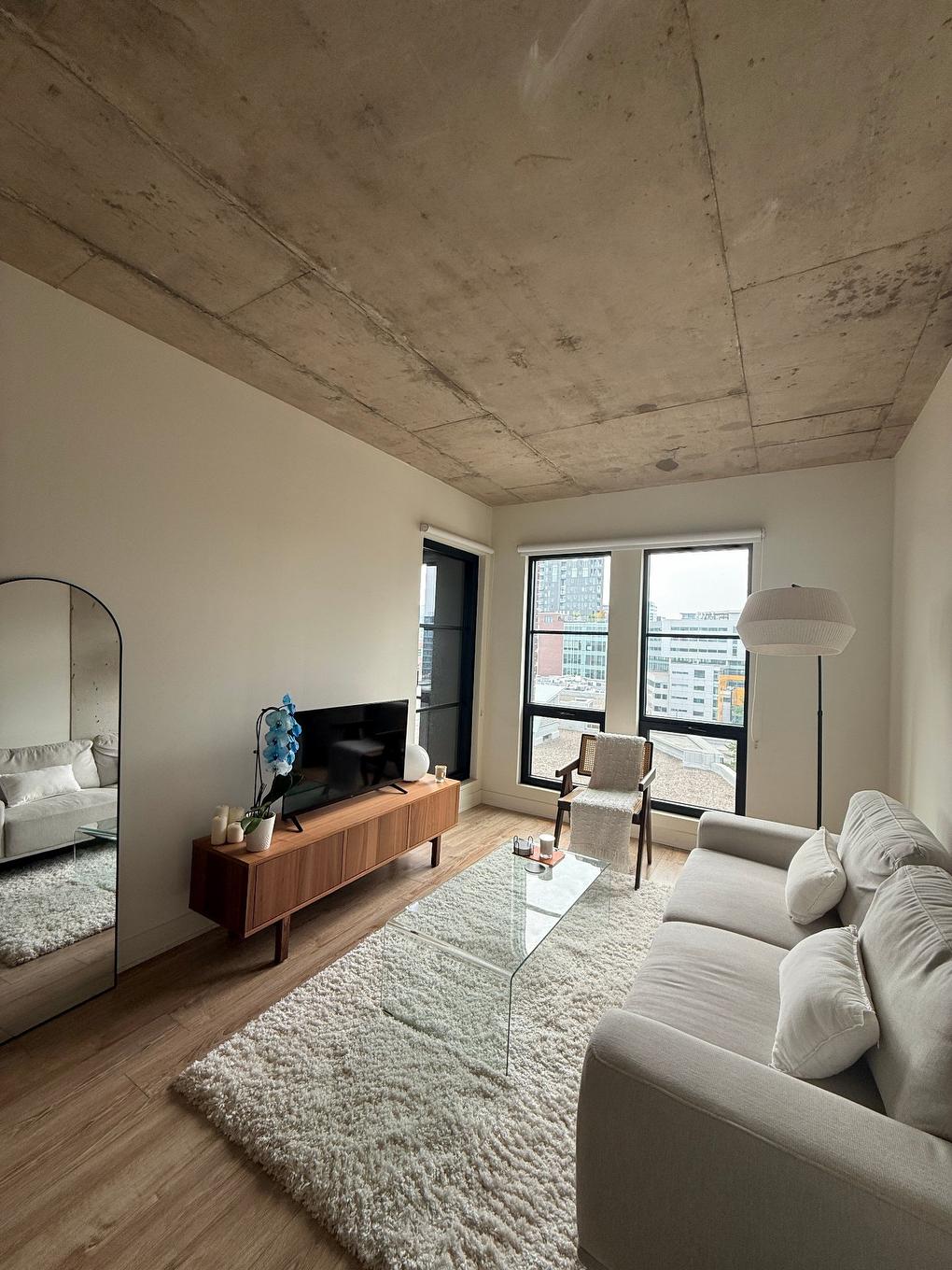 Living room - 916-650 Rue Wellington, Montréal (Ville-Marie), QC - Indoor