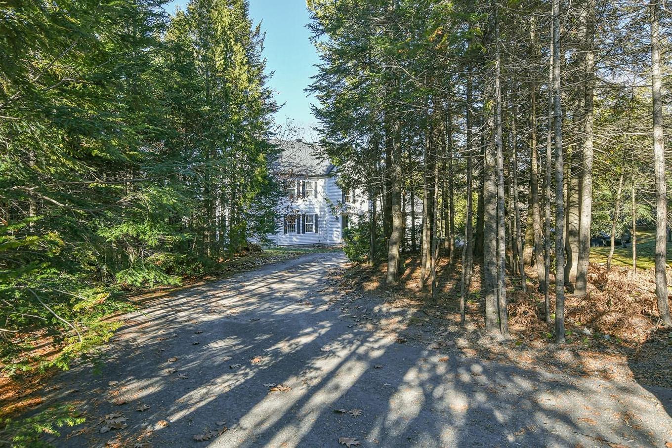 Autre - 135 Ch. Fournel, Sainte-Anne-Des-Lacs, QC - Outdoor With View