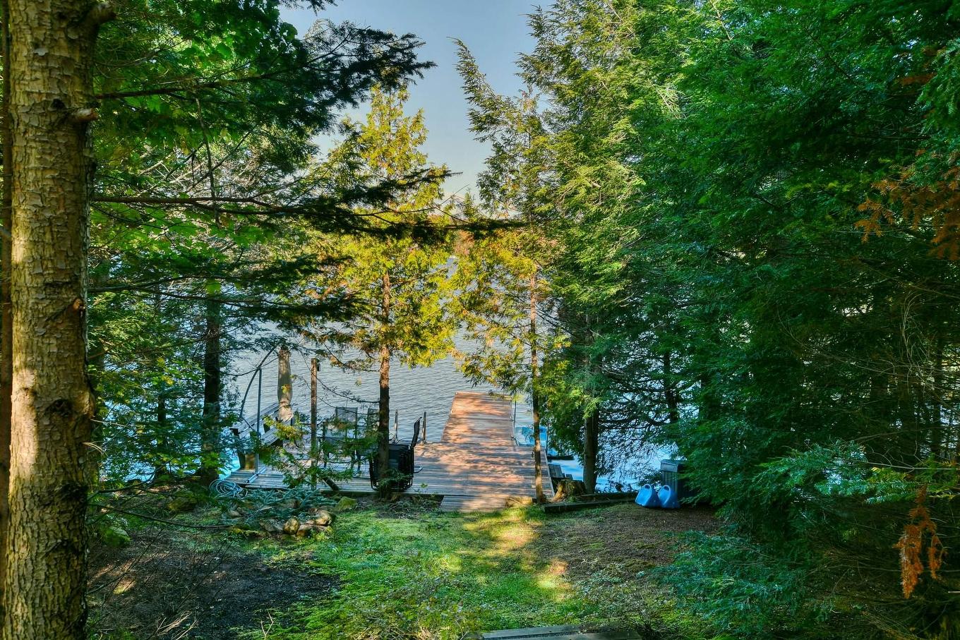 Accès au plan d'eau - 135 Ch. Fournel, Sainte-Anne-Des-Lacs, QC - Outdoor