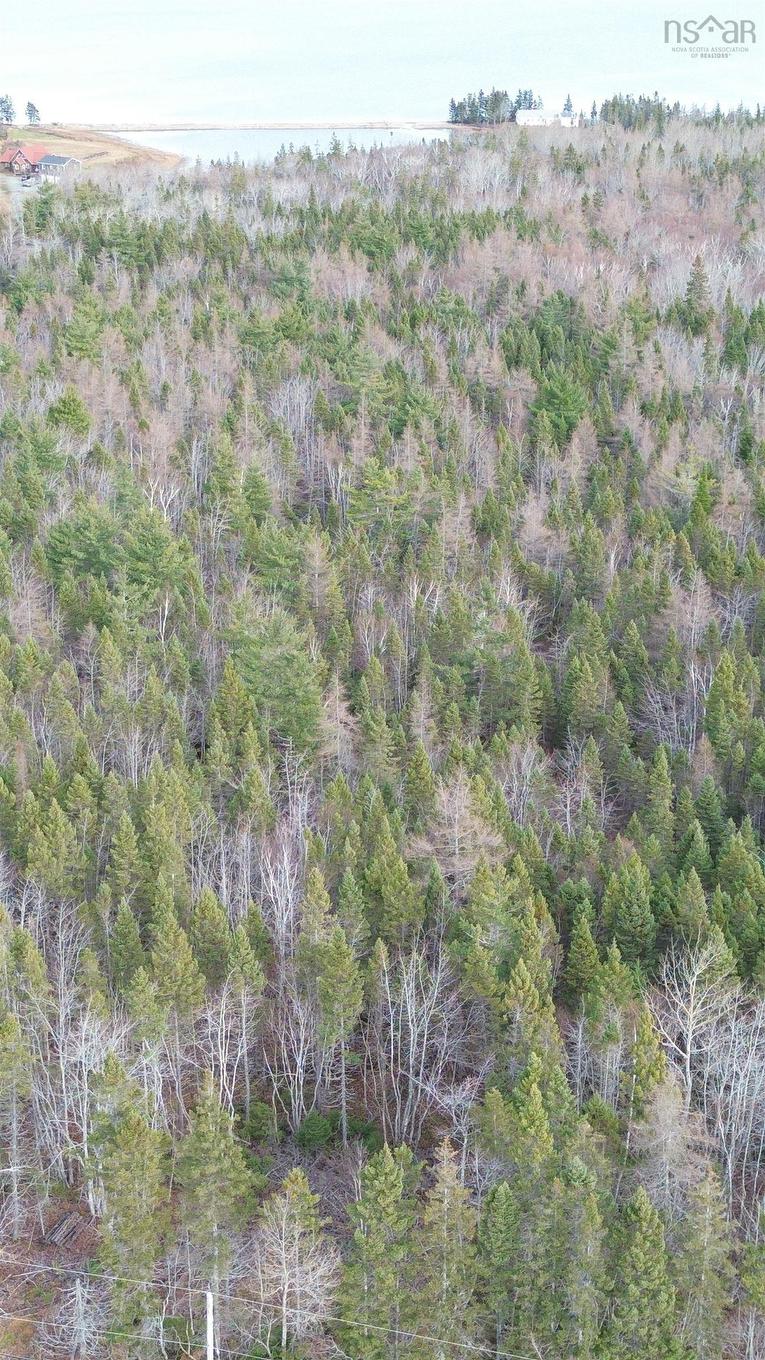 Lot 9 West Bay Highway, Roberta, NS