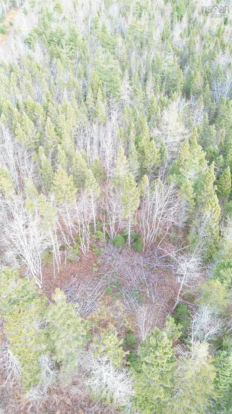 Lot 9 West Bay Highway, Roberta, NS