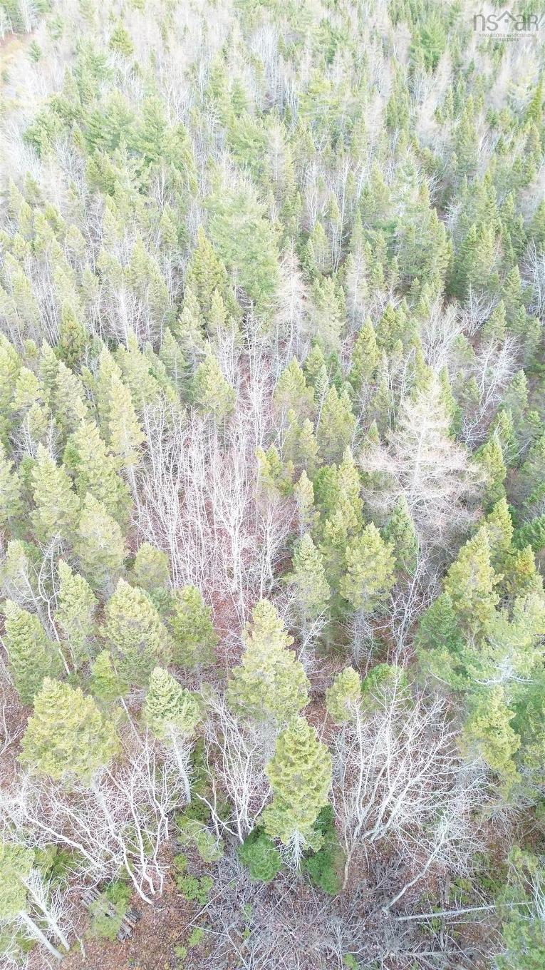 Lot 9 West Bay Highway, Roberta, NS