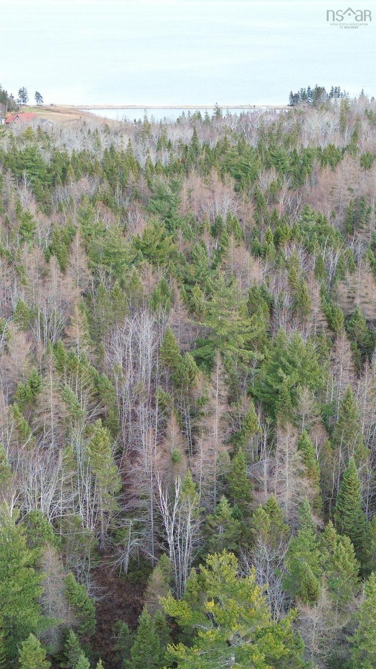 Lot 9 West Bay Highway, Roberta, NS