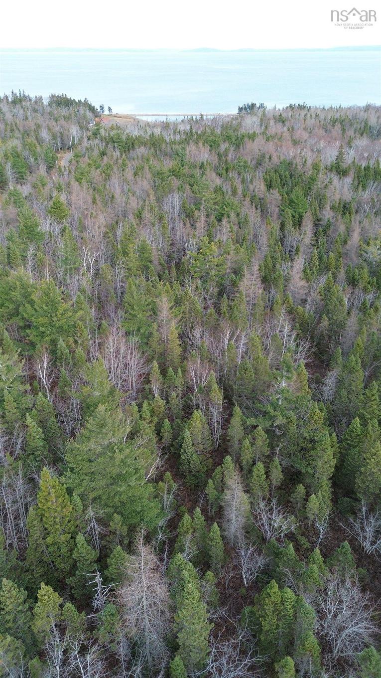 Lot 9 West Bay Highway, Roberta, NS