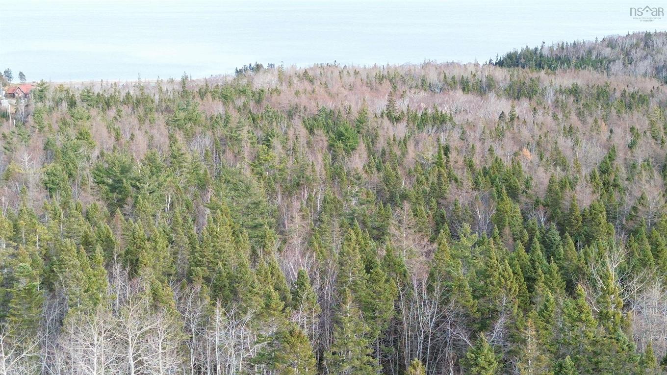 Lot 9 West Bay Highway, Roberta, NS