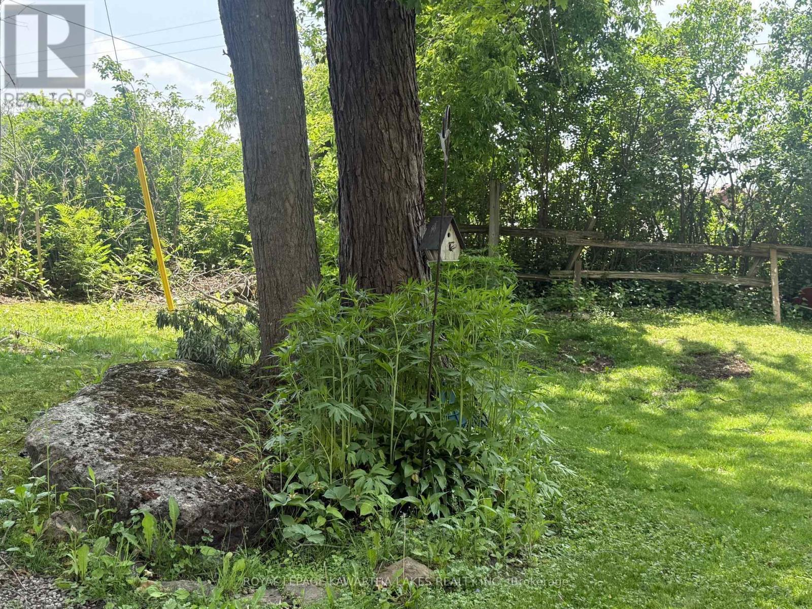 5 Government Dock Road, Kawartha Lakes (Laxton/Digby/Longford), ON - Outdoor