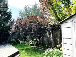 Backyard 2 -