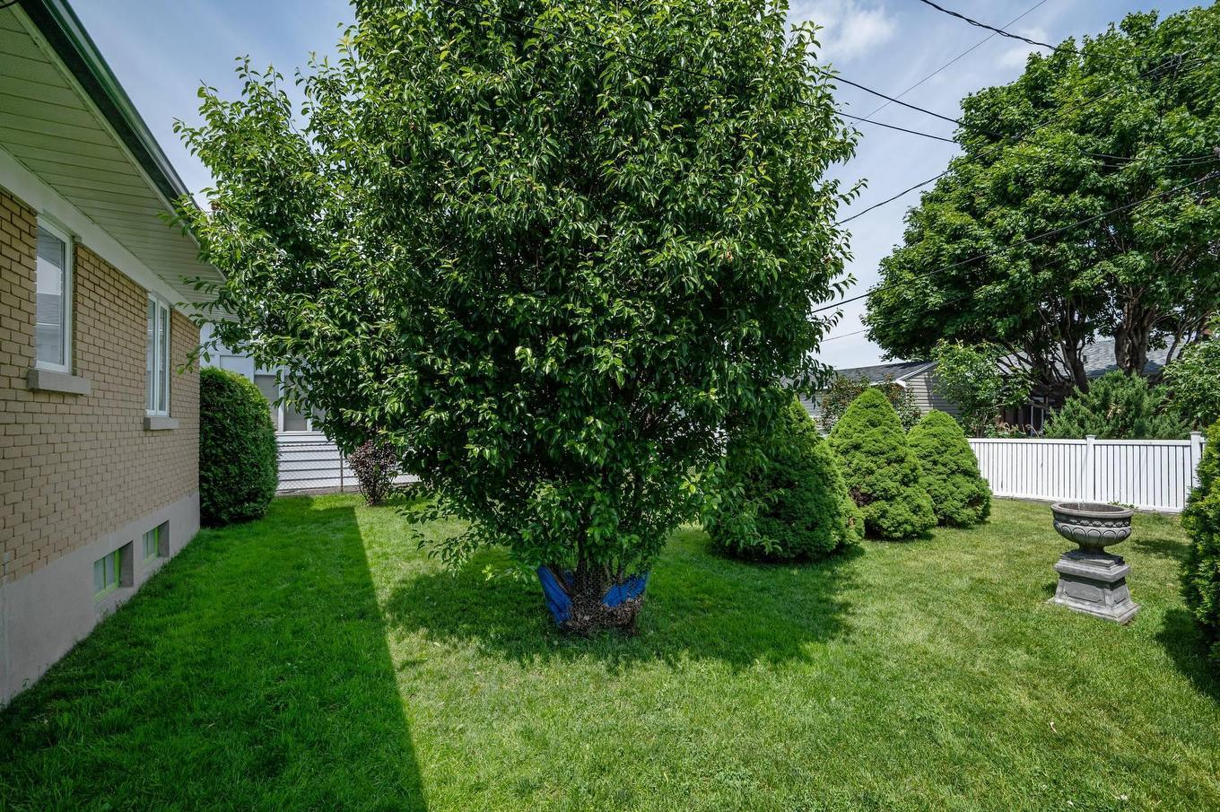 Cour - 427 Rue Lebeau, Saint-Jean-Sur-Richelieu, QC - Outdoor