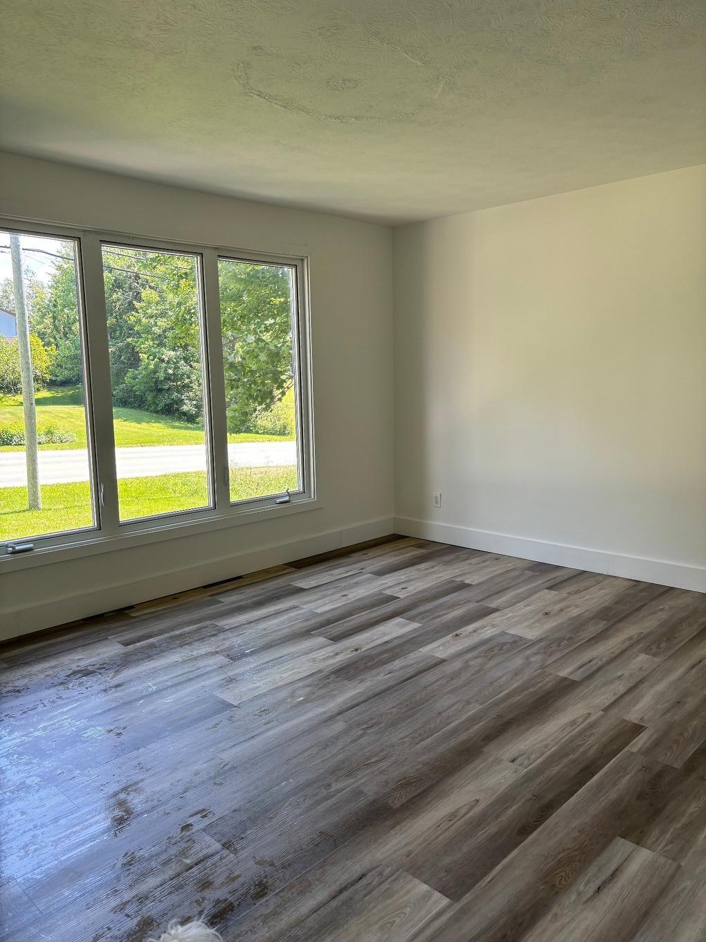 Living room - 121 Route 216, Stoke, QC - Indoor Photo Showing Other Room