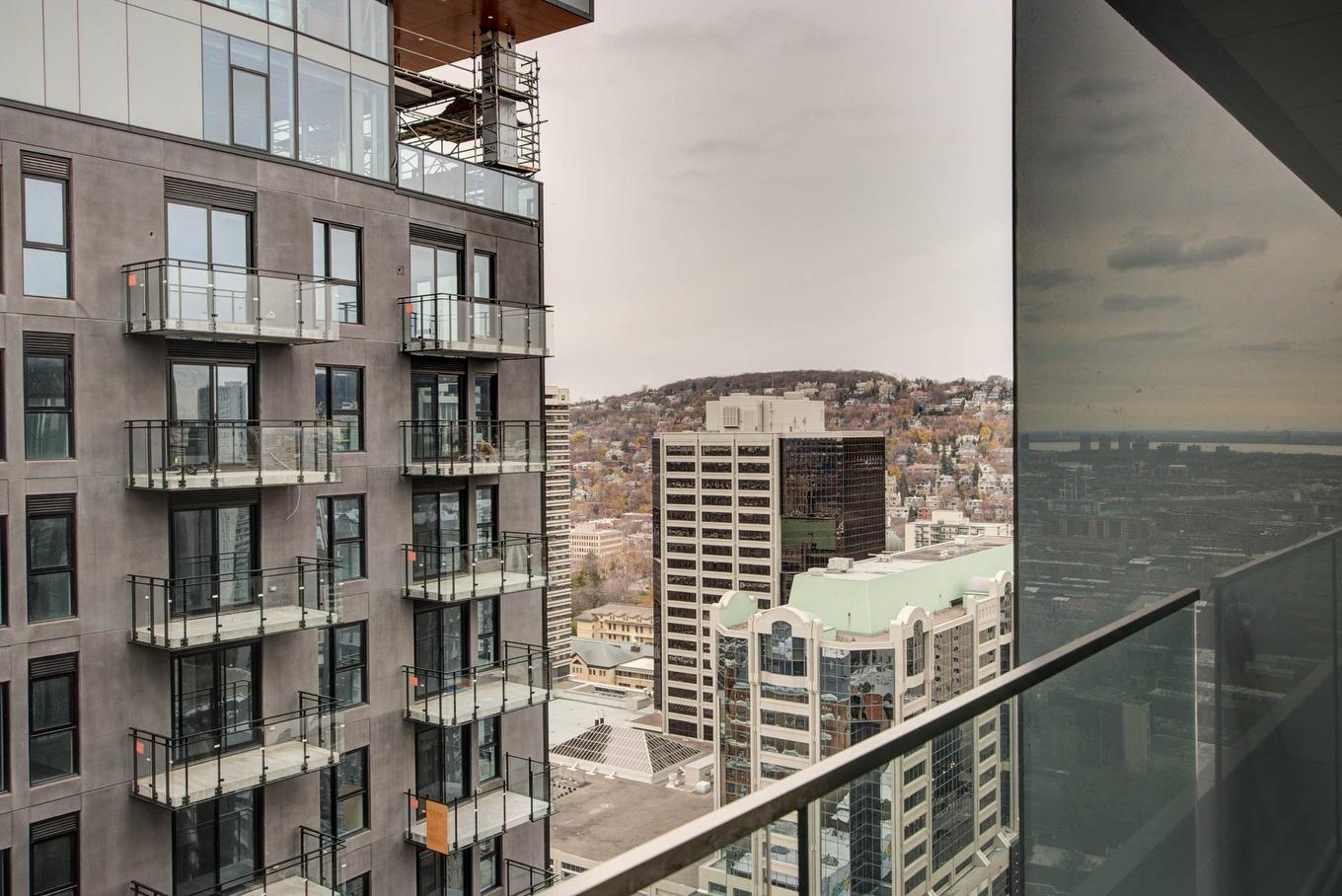 View - 2903-2320 Rue Tupper, Montréal (Ville-Marie), QC - Outdoor