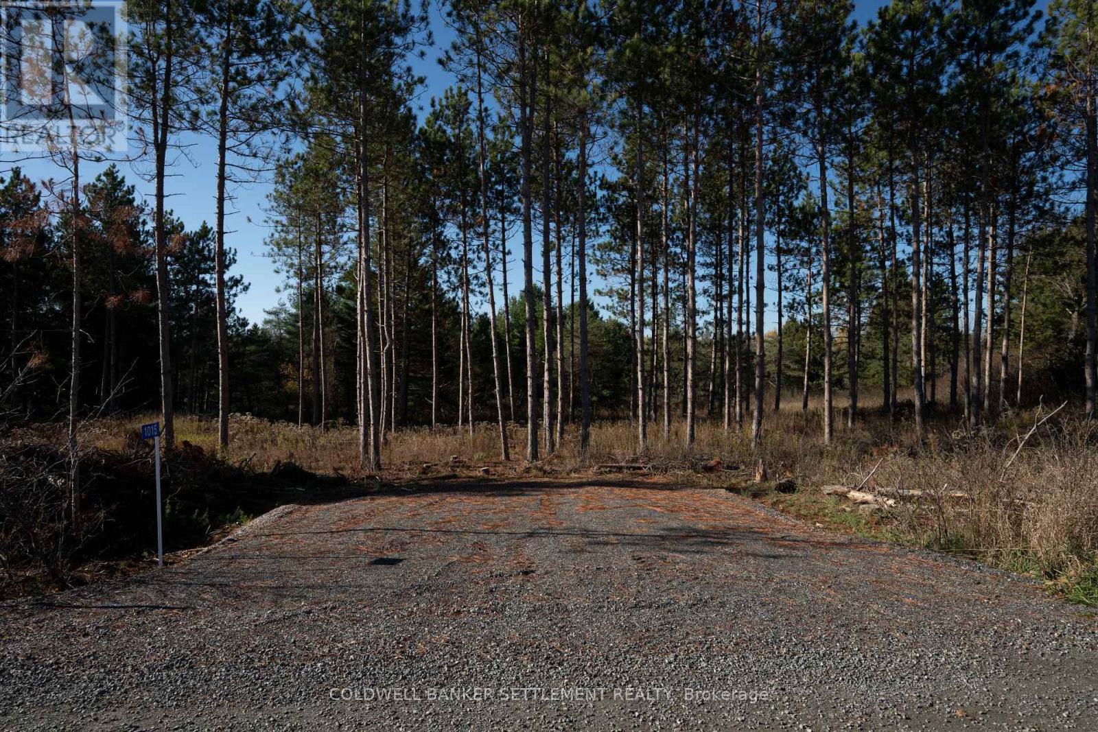 1015 Concession 5A Road, Lanark Highlands, ON