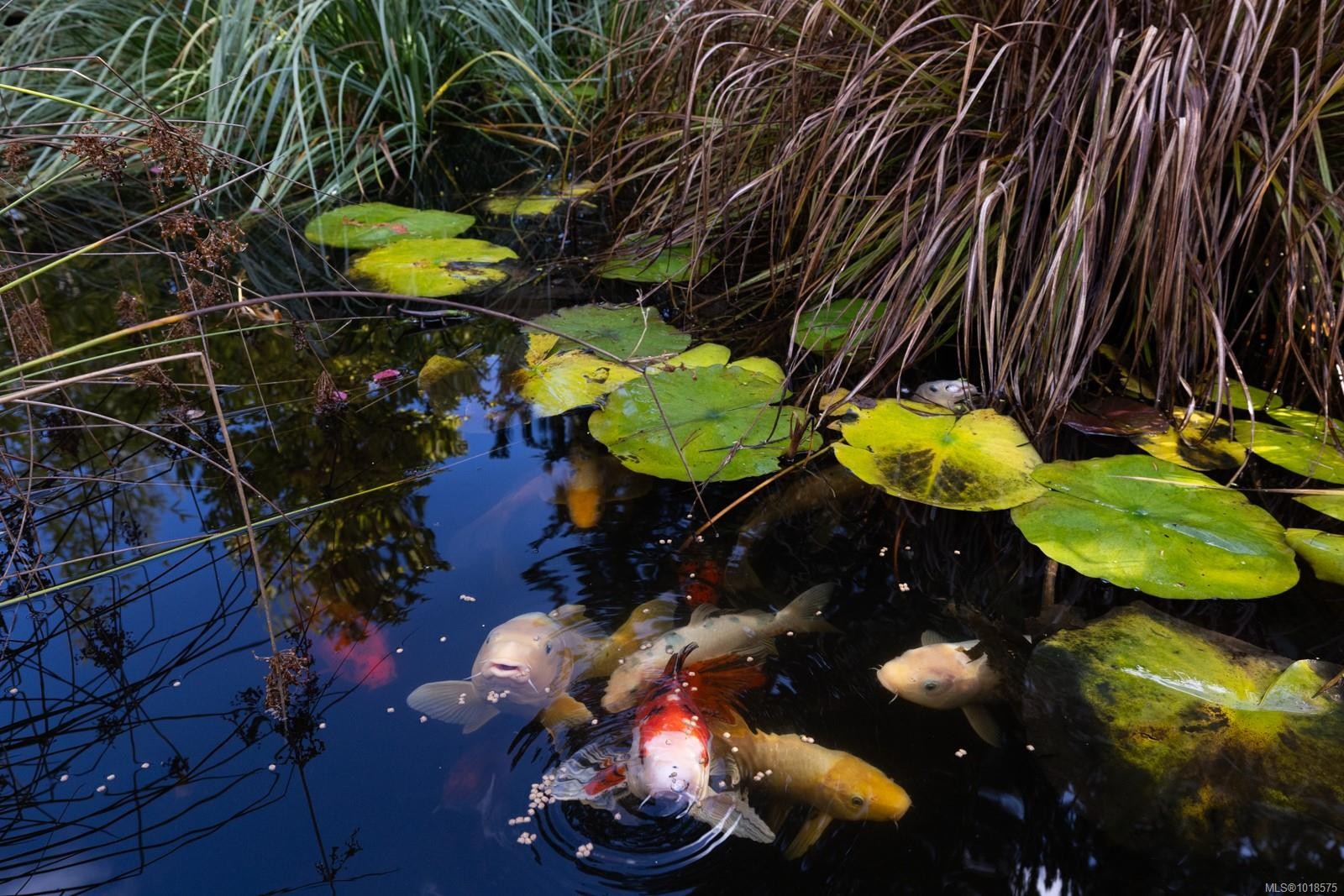 571 Meredith Rd, Mill Bay, BC