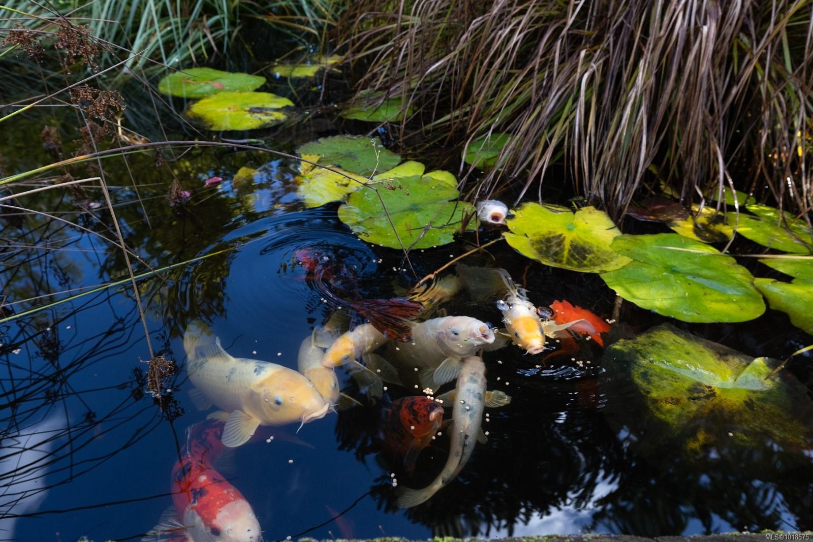 571 Meredith Rd, Mill Bay, BC