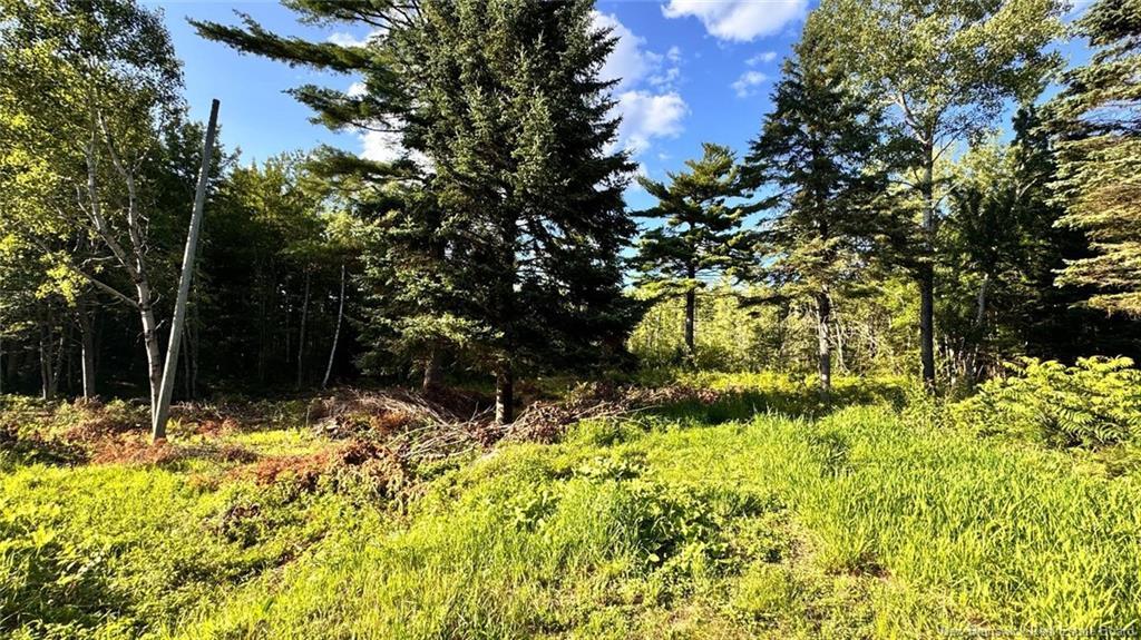 8 Graham St, Lower Lincoln, NB