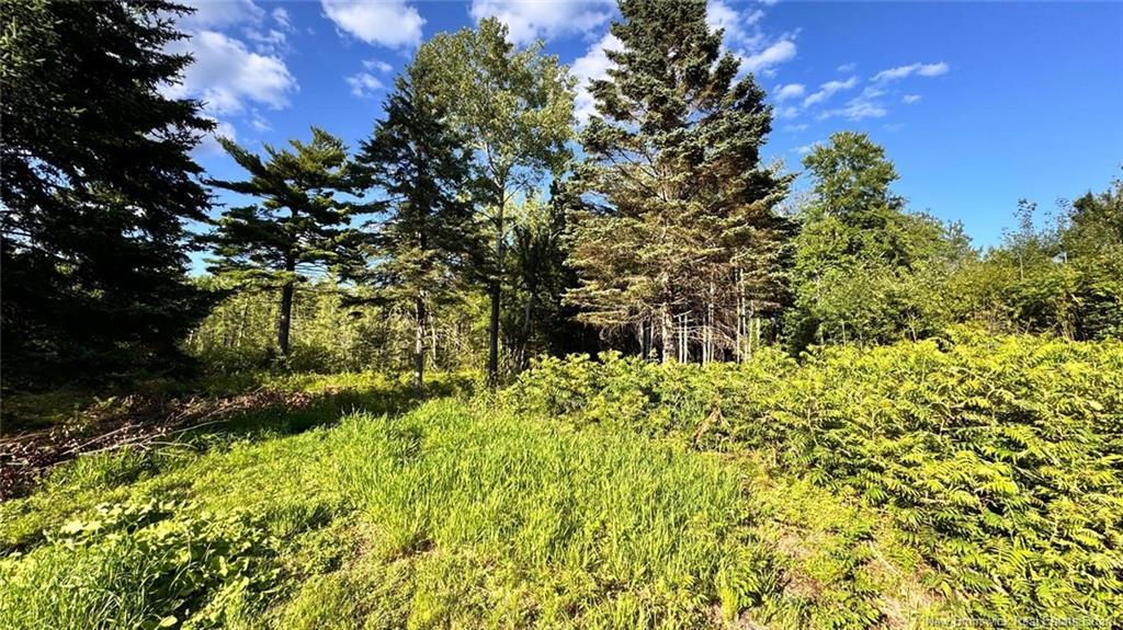 8 Graham St, Lower Lincoln, NB