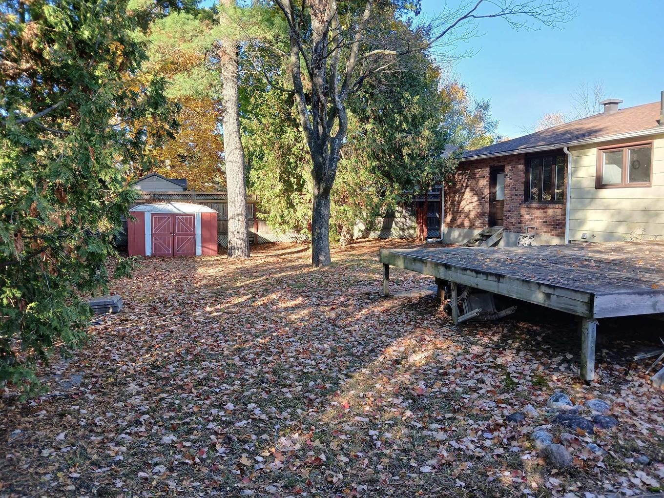 Cour - 33 Rue Lake, Gatineau (Aylmer), QC - Outdoor