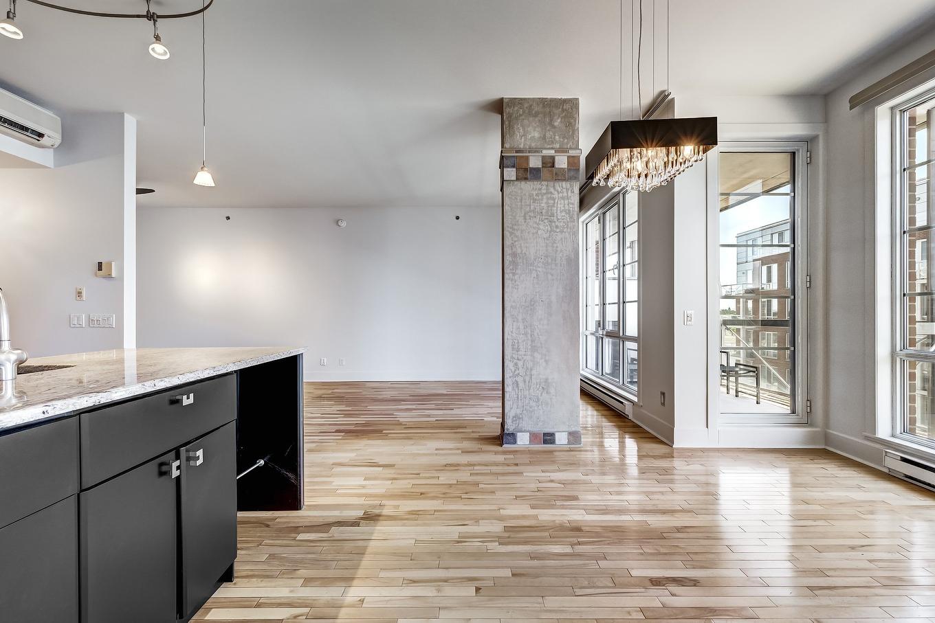 Vue d'ensemble - 412-4200 Rue St-Ambroise, Montréal (Le Sud-Ouest), QC