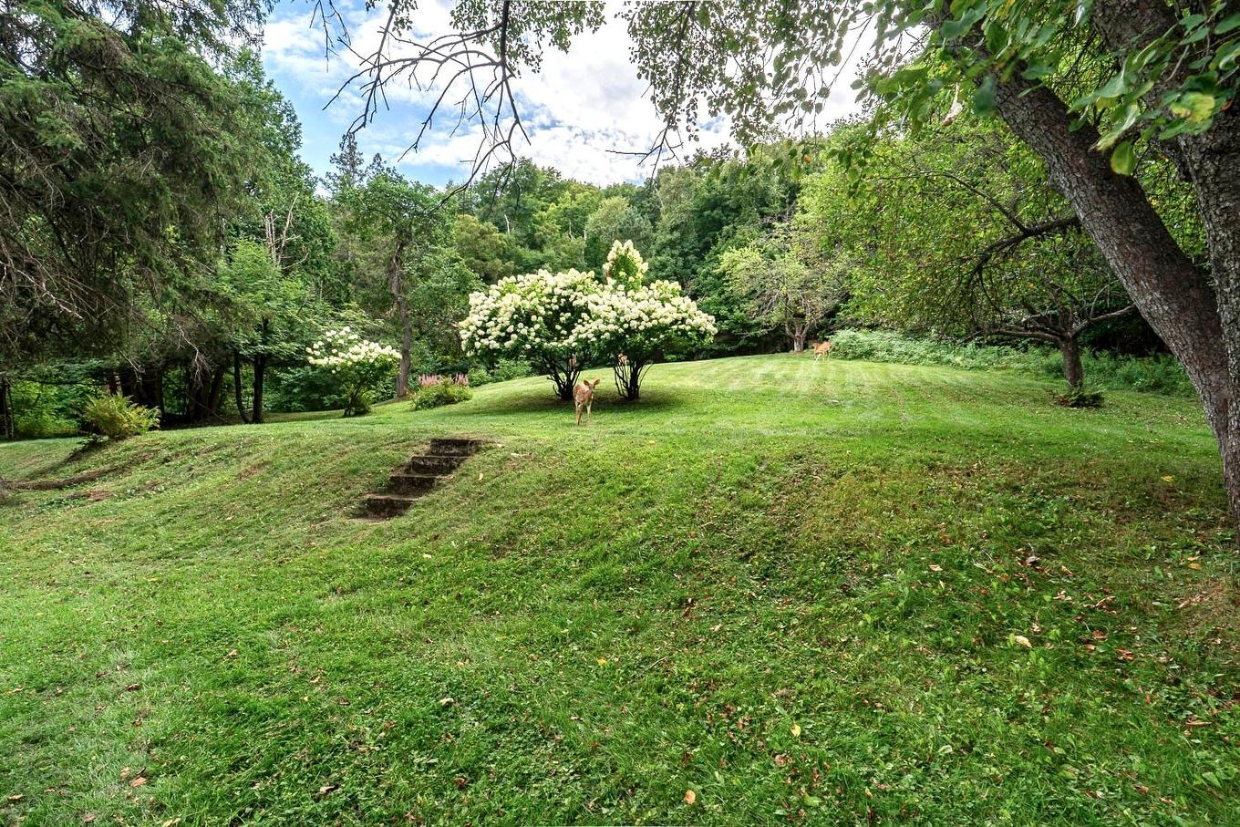 Terre/Terrain - 250 Av. De L'Église, Saint-Sauveur, QC - Outdoor