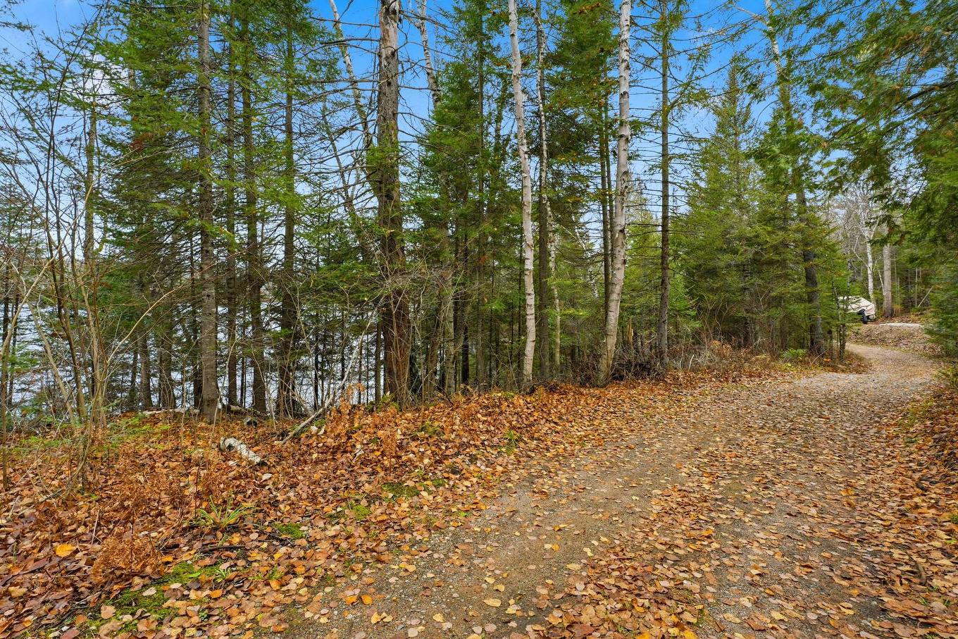 Overall view - 247 Ch. Du Lac-À-Larche, Cayamant, QC