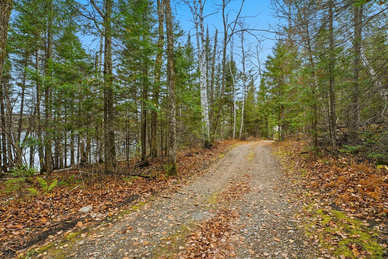 Overall view - 247 Ch. Du Lac-À-Larche, Cayamant, QC